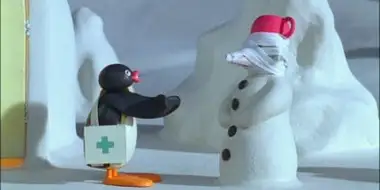 Pingu Wraps Up