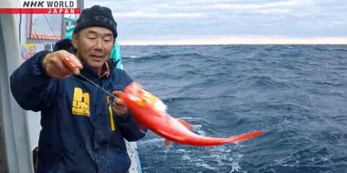 Tokyo's Sustainable Fishermen