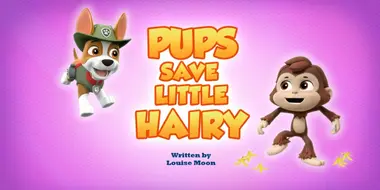 Pups Save Little Hairy