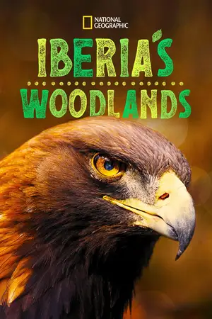 Iberia's Woodlands