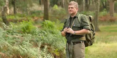 Bears in the British Columbia