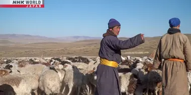 Shaping Sustainable Cashmere: Mongolia