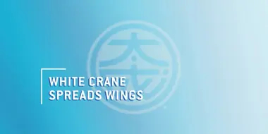 The Master Scroll 15 - White Crane Spreads Wings