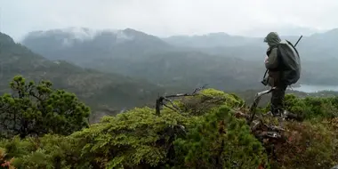 Into the Clouds: Sitka Blacktail Deer