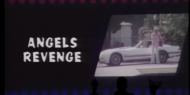 Angels Revenge