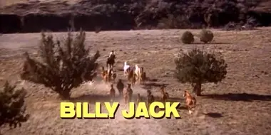 Billy Jack (1971)