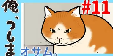 WEB Animation - #11 Osuamu