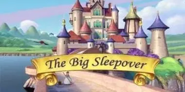 The Big Sleepover