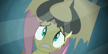 Putting Your Hoof Down