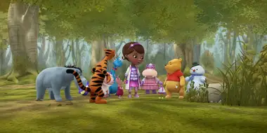 Into the Hundred Acre Wood