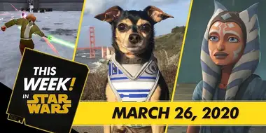 Cute Star Wars Pets, New Updates to Galaxy of Heroes, and More!