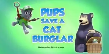 Pups Save a Cat Burglar