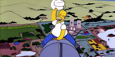 Homer the Vigilante