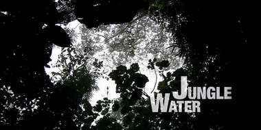 Jungle Water