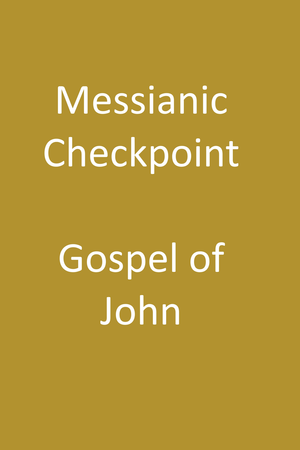 Messianic Checkpoint - Gospel of John