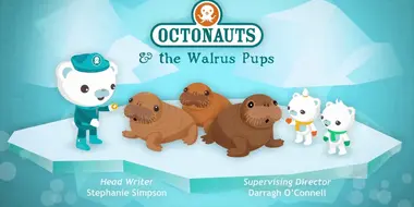 Octonauts and the Walrus Pups