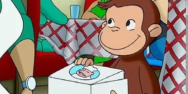 Special Delivery Monkey