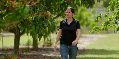 Florida Trees; Smart Lighting