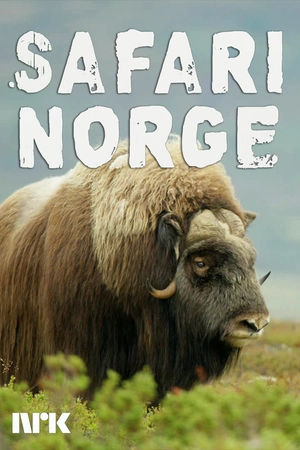 Safari Norge