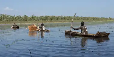 Tin Canoes