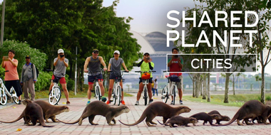 Shared Planet: Cities