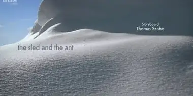 The sled and the ant