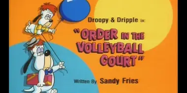 Order in Volleyball Court