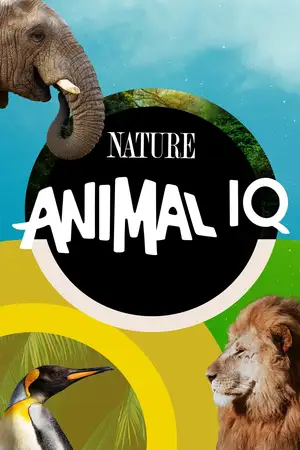 Animal IQ