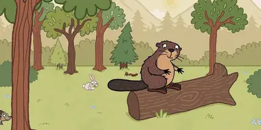 Eva the Beaver