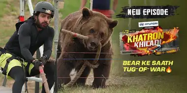 Bear Ke Saath Tug-Of-War