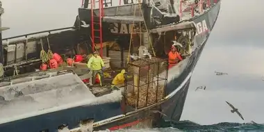 Bering Sea Wrecking Ball