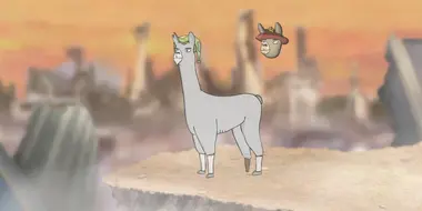 Llamas with Hats 11