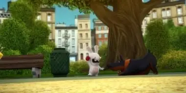 Rabbid Doggies