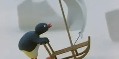 Pingu Surfing on the Ice