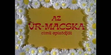 Az űr-macska