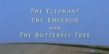 The Elephant, The Emperor and Butterfly Tree