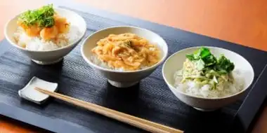 Rika's TOKYO CUISINE: Donburi Rice Bowls