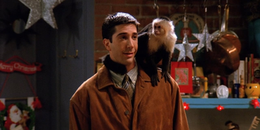 The One with the Monkey