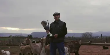 Trofeos Escobar
