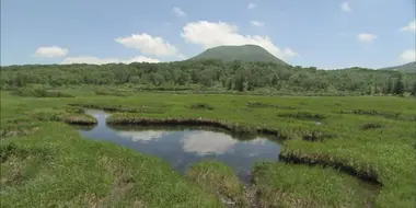 Early Summer in Niseko