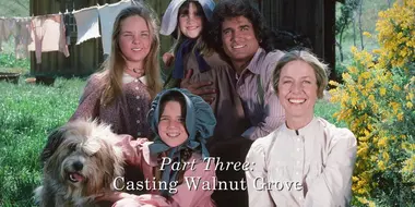 The Little House Phenomenon: (Part 3) Casting Walnut Grove (Season 3)