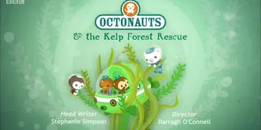 The Kelp Forest Rescue