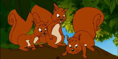 The Squirrel Gang