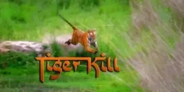 Tiger Kill