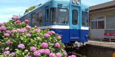 Choshi Electric Railway: Finding New Ways to Get Back on Track