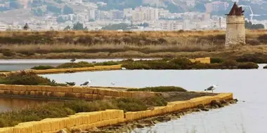 Poggioreale (Sicily)