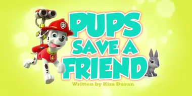 Pups Save a Friend