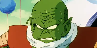 Namek's Defense