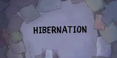 Hibernation