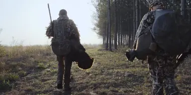 South Carolina Turkeys